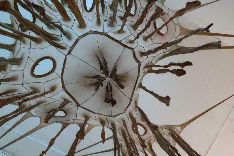 Teilnehmende bekommen in dem interaktiven Live-Meeting einen Einblick in die Ausstellung. Sie können Hintergrundfragen an die Ausstellungsbeteiligten stellen. Beginn ist 18 Uhr, Dauer 1 Stunde. Mit Sibylle Kobus/Künstlerin, Martina Odorfer/MuseumSignerin , Dorothee Mammel/Galerie. Mit Simultan-Übersetzung in/aus der Deutschen Gebärdensprache.